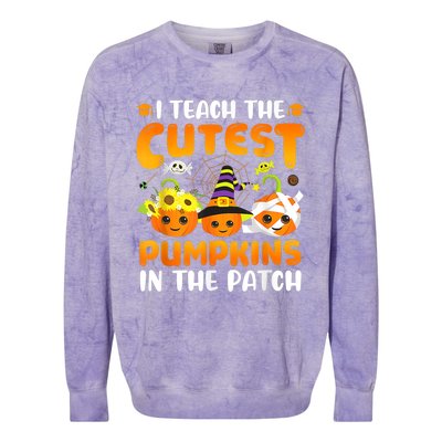 I Teach The Cutest Pumpkins In The Patch Halloween Spooky Colorblast Crewneck Sweatshirt