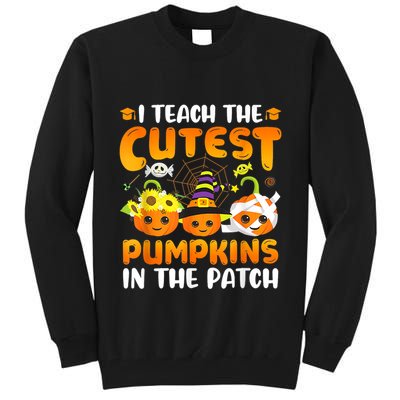 I Teach The Cutest Pumpkins In The Patch Halloween Spooky Tall Sweatshirt
