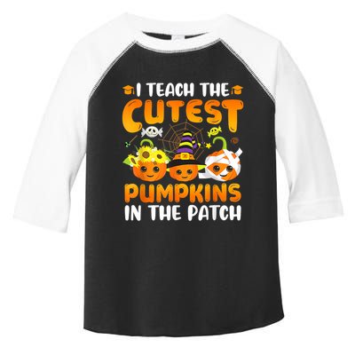 I Teach The Cutest Pumpkins In The Patch Halloween Spooky Toddler Fine Jersey T-Shirt