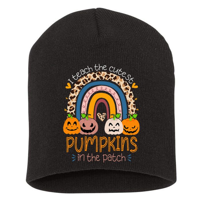 I Teach The Cutest Pumpkins In The Patch Teacher Halloween Short Acrylic Beanie