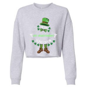 Im The Vet Receptionist Leprechaun St Patricks Day Gift Cropped Pullover Crew