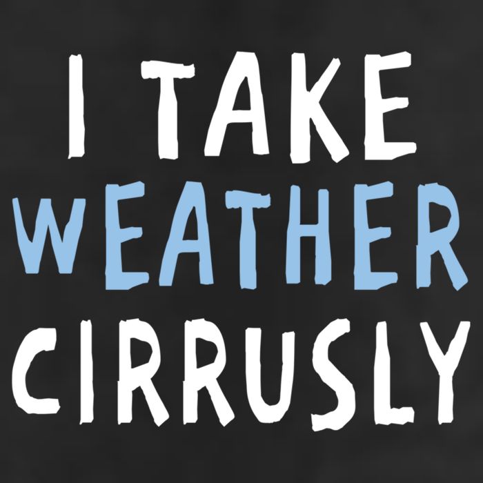 I Take Weather Cirrusly - Funny Meteorology Premium Pullover Hoodie