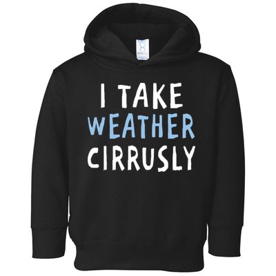I Take Weather Cirrusly - Funny Meteorology Toddler Hoodie