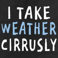 I Take Weather Cirrusly - Funny Meteorology Microfiber Hand Towel