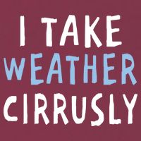 I Take Weather Cirrusly - Funny Meteorology 16oz Travel Tumbler
