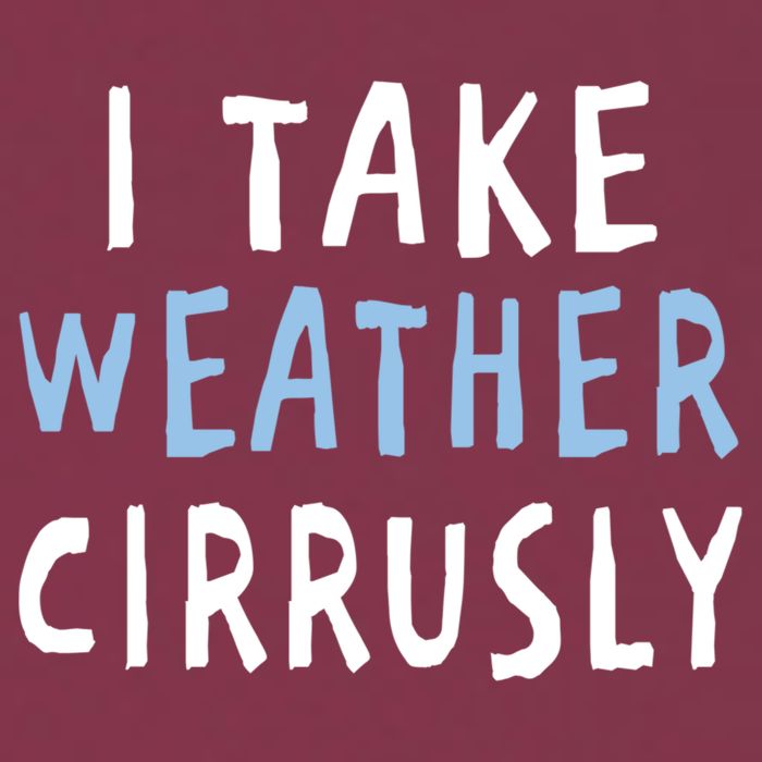 I Take Weather Cirrusly - Funny Meteorology 16oz Travel Tumbler