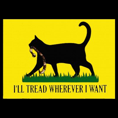 ILl Tread Wherever I Want Childless Cat Lady For Kamala T-Shirt