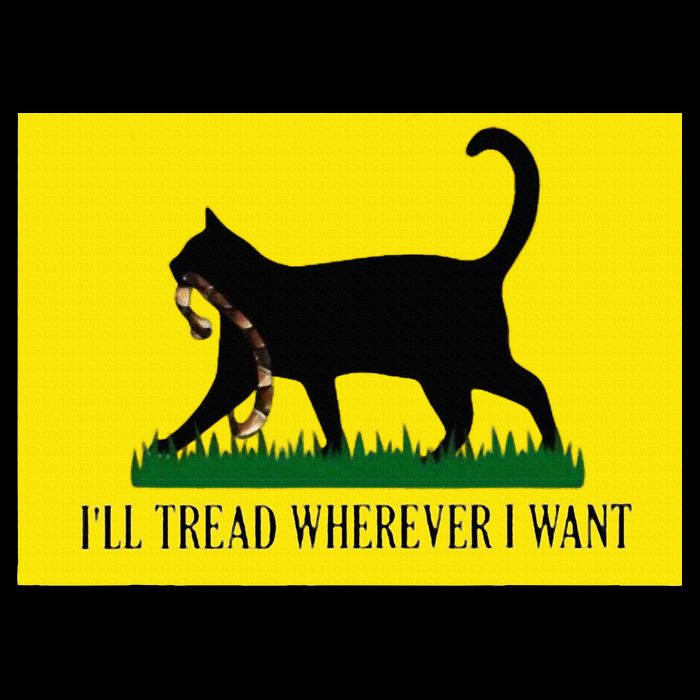 ILl Tread Wherever I Want Childless Cat Lady For Kamala Flat Bill Trucker Hat