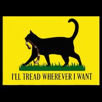 ILl Tread Wherever I Want Childless Cat Lady For Kamala Youth Performance Sprint T-Shirt