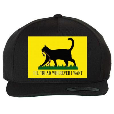 ILl Tread Wherever I Want Childless Cat Lady For Kamala Wool Snapback Cap