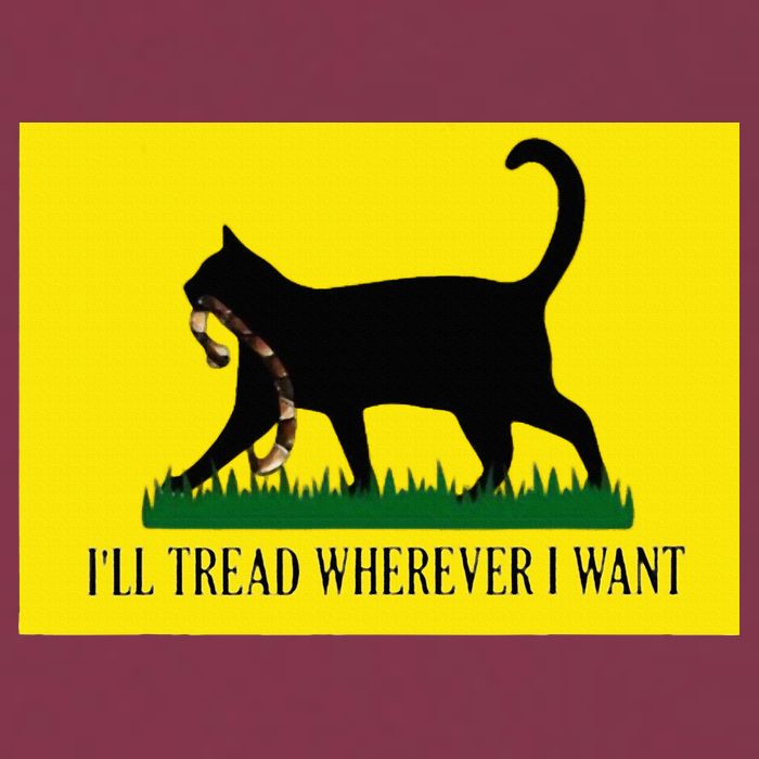 ILl Tread Wherever I Want Childless Cat Lady For Kamala 16oz Travel Tumbler