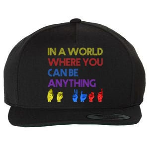 In The World Where You Can Be Anything Be Kind Sign Language Cool Gift Wool Snapback Cap