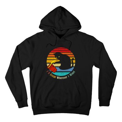 ILl Tread Wherever I Want Funny Cat Lover Hoodie