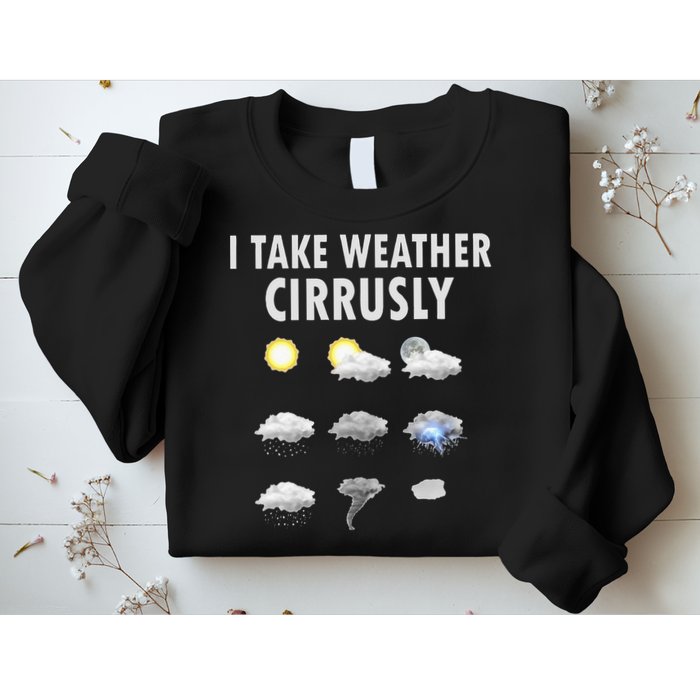 I Take Weather Cirrusly Meteorology Meteorologist Sweatshirt