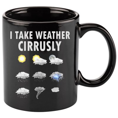 I Take Weather Cirrusly Meteorology Meteorologist 11oz C Handle Ceramic Mug