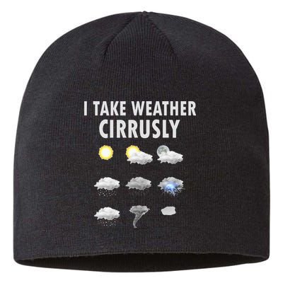 I Take Weather Cirrusly Meteorology Meteorologist Sustainable Beanie