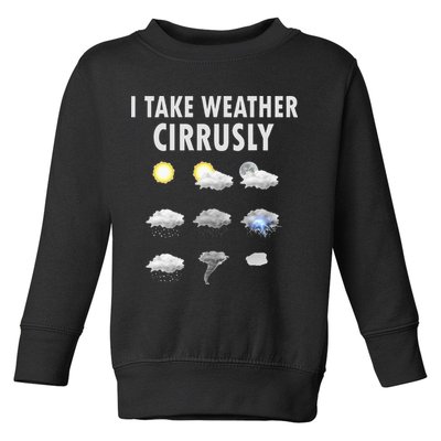I Take Weather Cirrusly Meteorology Meteorologist Toddler Sweatshirt