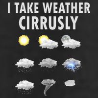 I Take Weather Cirrusly Meteorology Meteorologist Trucker Hat