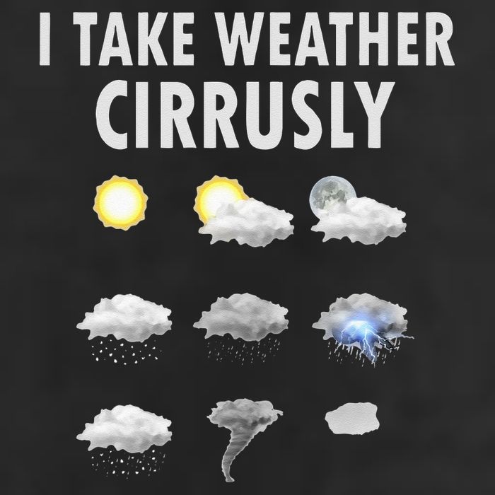 I Take Weather Cirrusly Meteorology Meteorologist Trucker Hat