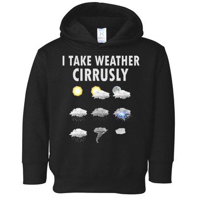 I Take Weather Cirrusly Meteorology Meteorologist Toddler Hoodie