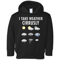 I Take Weather Cirrusly Meteorology Meteorologist Toddler Hoodie