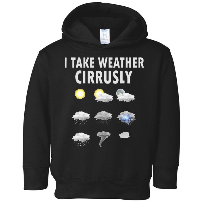 I Take Weather Cirrusly Meteorology Meteorologist Toddler Hoodie