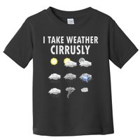 I Take Weather Cirrusly Meteorology Meteorologist Toddler T-Shirt