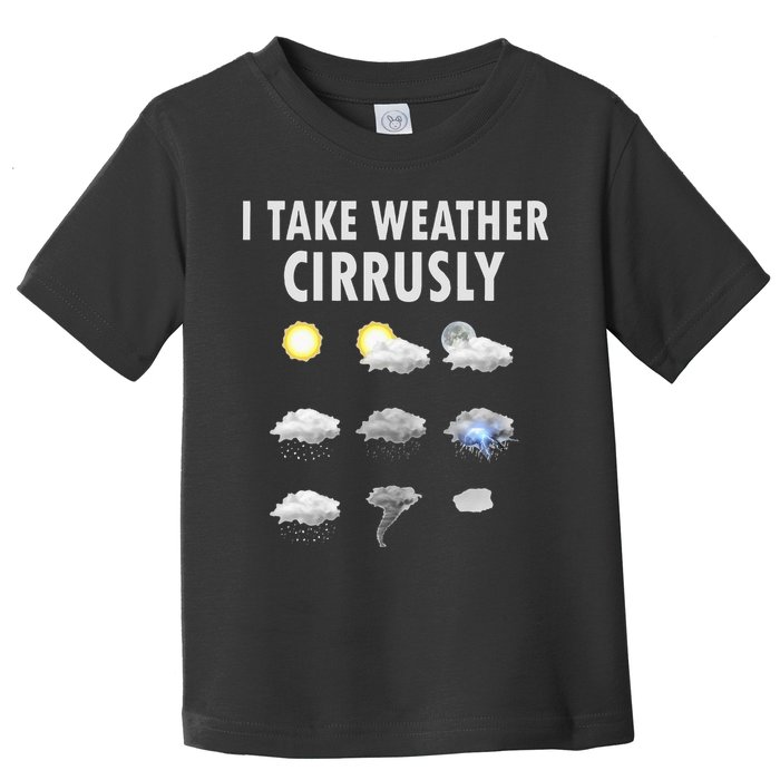 I Take Weather Cirrusly Meteorology Meteorologist Toddler T-Shirt