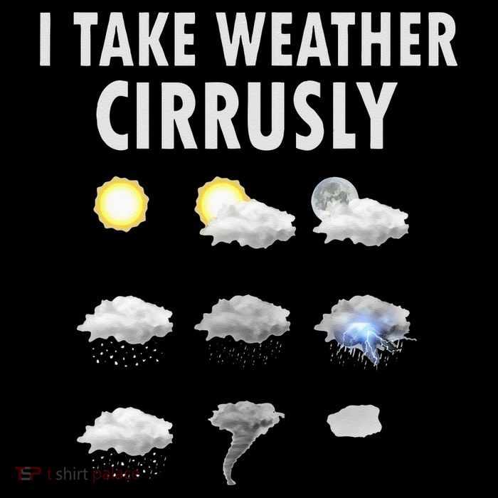I Take Weather Cirrusly Meteorology Meteorologist Zip Tote Bag