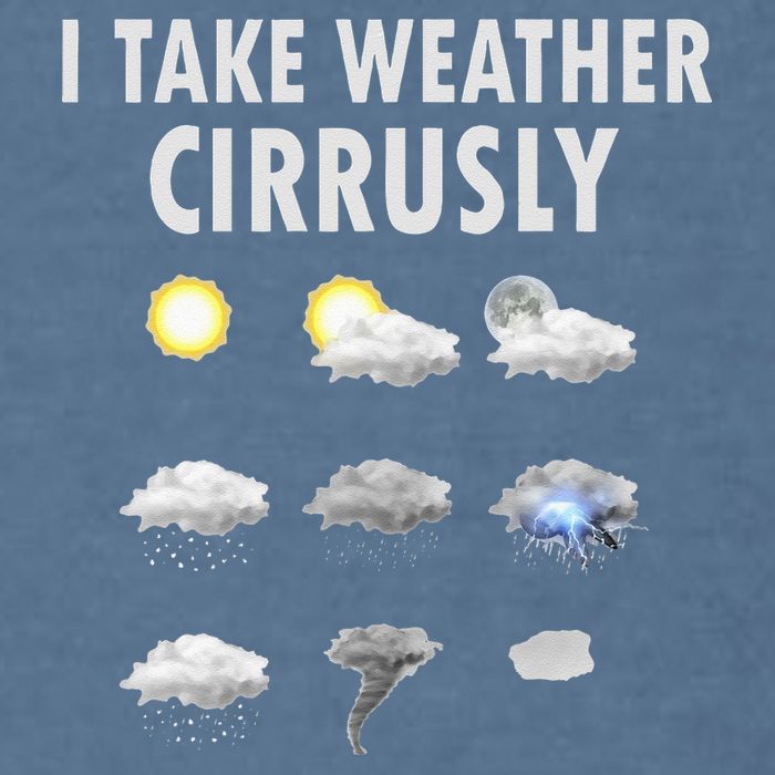 I Take Weather Cirrusly Meteorology Meteorologist Garment-Dyed Sweatshirt