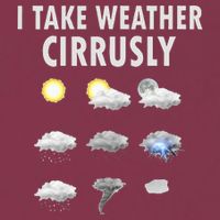 I Take Weather Cirrusly Meteorology Meteorologist 16oz Travel Tumbler