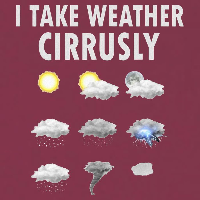 I Take Weather Cirrusly Meteorology Meteorologist 16oz Travel Tumbler