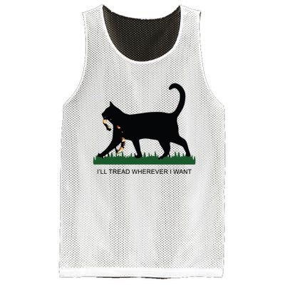 Ill Tread Wherever I Want Childless Cat Lady For Kamala Mesh Reversible Basketball Jersey Tank