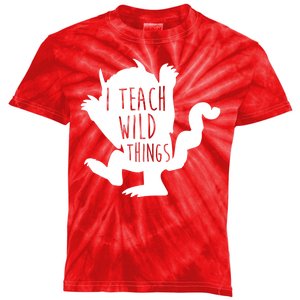 I Teach Wild Things Kids Tie-Dye T-Shirt