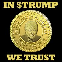 In $Trump We Trust Meme Coin Mug