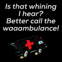 Is That Whining Better Call The Wambulance Flatbill Hat