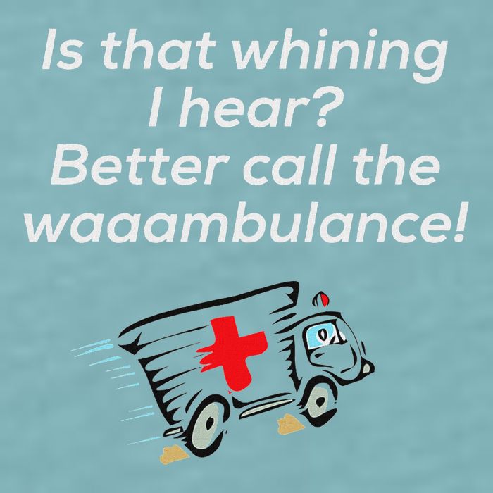Is That Whining Better Call The Wambulance Sueded Cloud Jersey T-Shirt