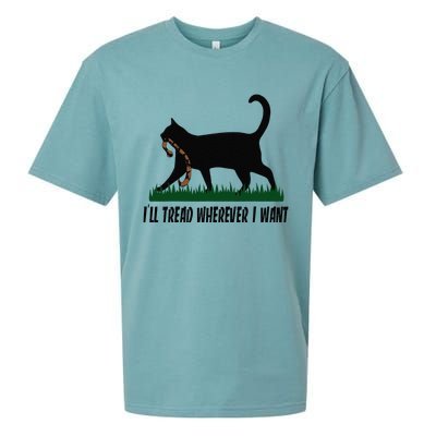 ILl Tread Wherever I Want Cat Ladies For Kamala Funny Sueded Cloud Jersey T-Shirt