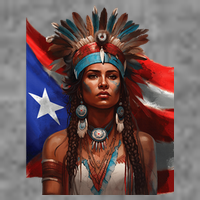 Indigenous Taino Woman Puerto Rican Flag Caribbean Toddler Sweatshirt