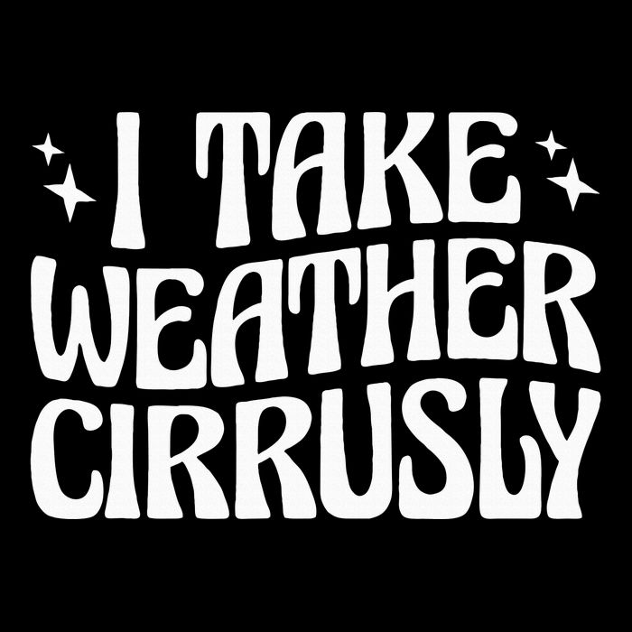 I Take Weather Cirrusly Meteorology Meteorologist Sustainable Bucket Hat