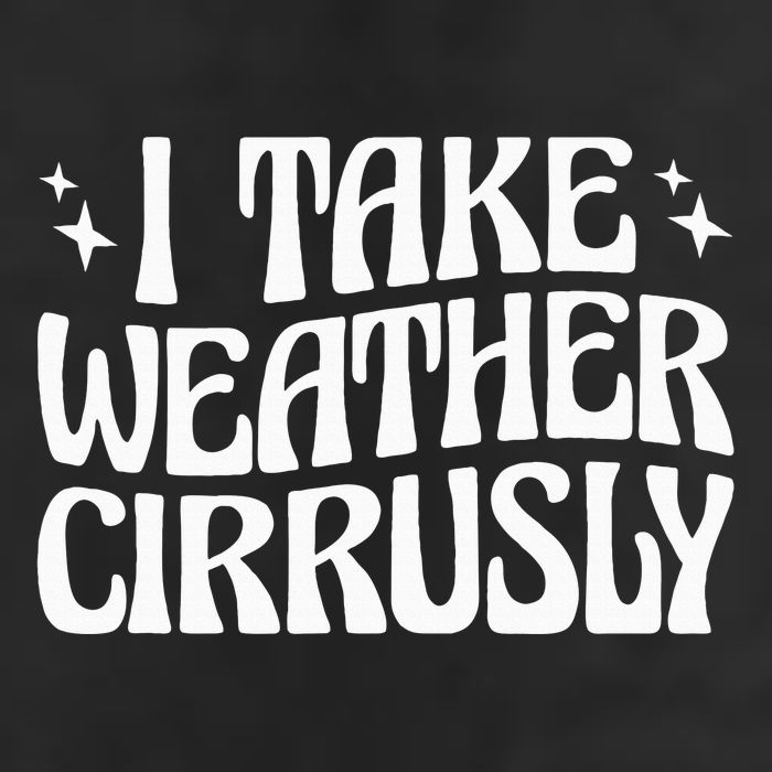I Take Weather Cirrusly Meteorology Meteorologist 25L Jumbo Tote