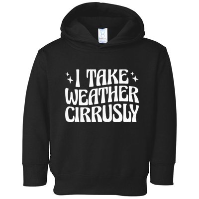 I Take Weather Cirrusly Meteorology Meteorologist Toddler Hoodie
