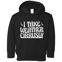 I Take Weather Cirrusly Meteorology Meteorologist Toddler Hoodie