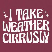 I Take Weather Cirrusly Meteorology Meteorologist 16oz Travel Tumbler