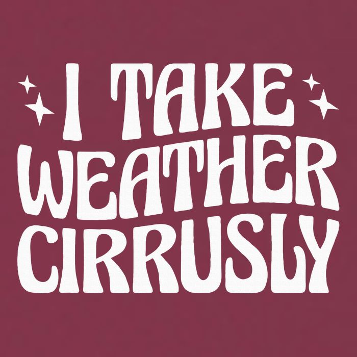 I Take Weather Cirrusly Meteorology Meteorologist 16oz Travel Tumbler