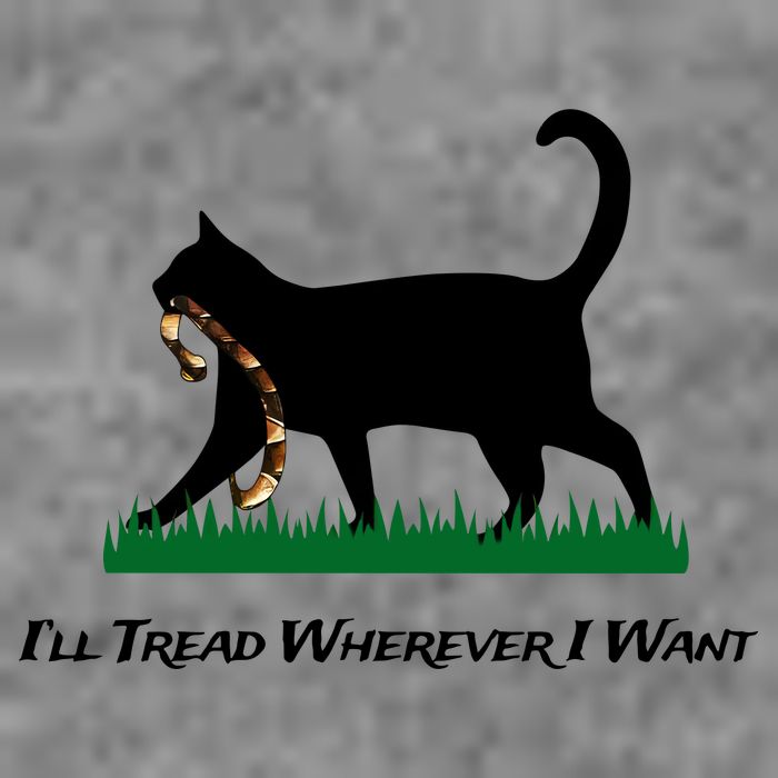 ILl Tread Wherever I Want Tall Sweatshirt