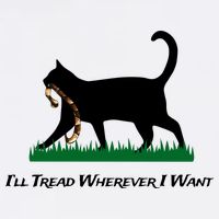 ILl Tread Wherever I Want Poster