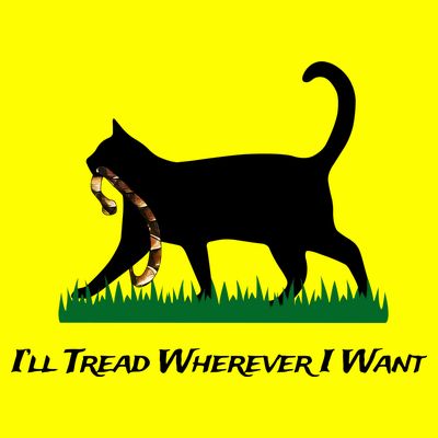ILl Tread Wherever I Want T-Shirt