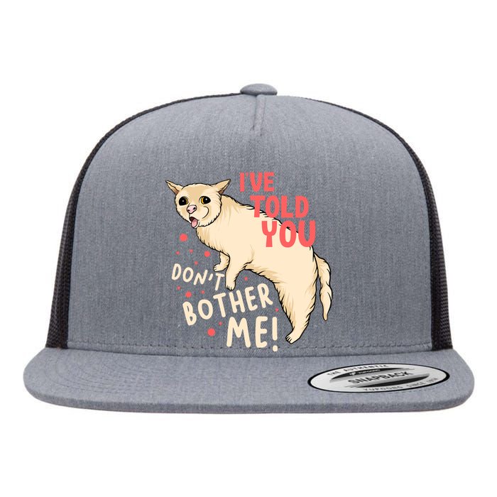 I've Told You Dont Bother Me Flat Bill Trucker Hat