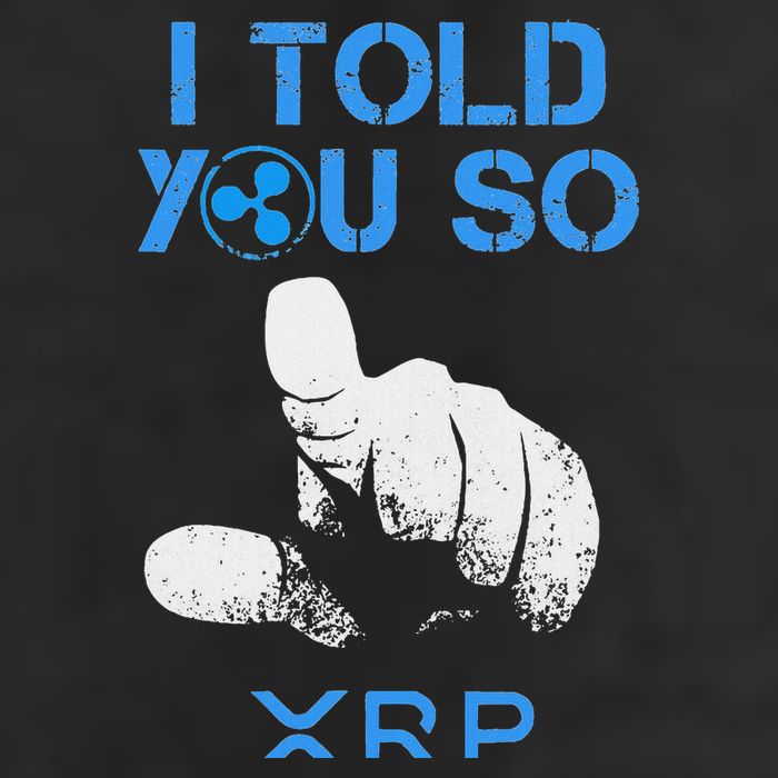I Told You So Hodl Xrp Ripple Coin Blockchain Crypto Bullrun Garment-Dyed Fleece Hoodie